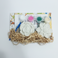 Rose and Astra Flower Set